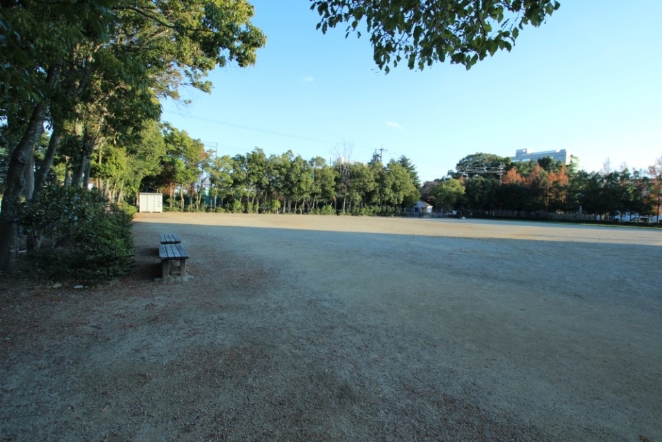 目の前が公園。