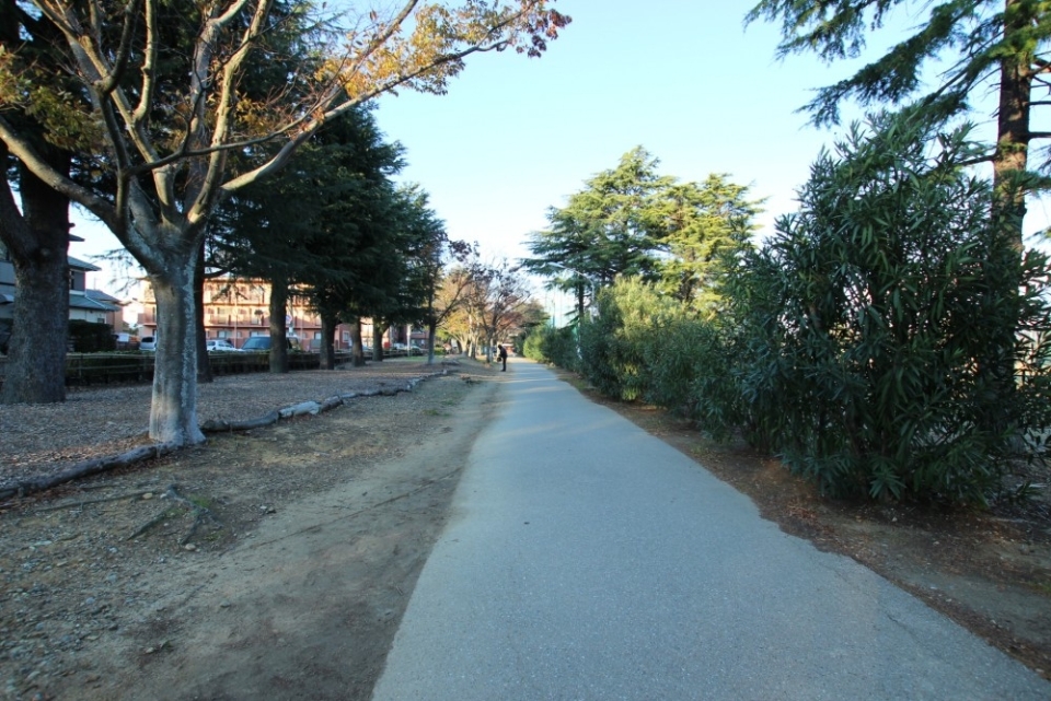 東側にも大きな公園と運動場がある。（和地山公園）