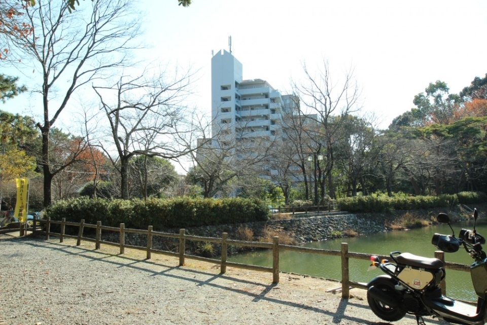 徒歩1分で四ッ池公園。