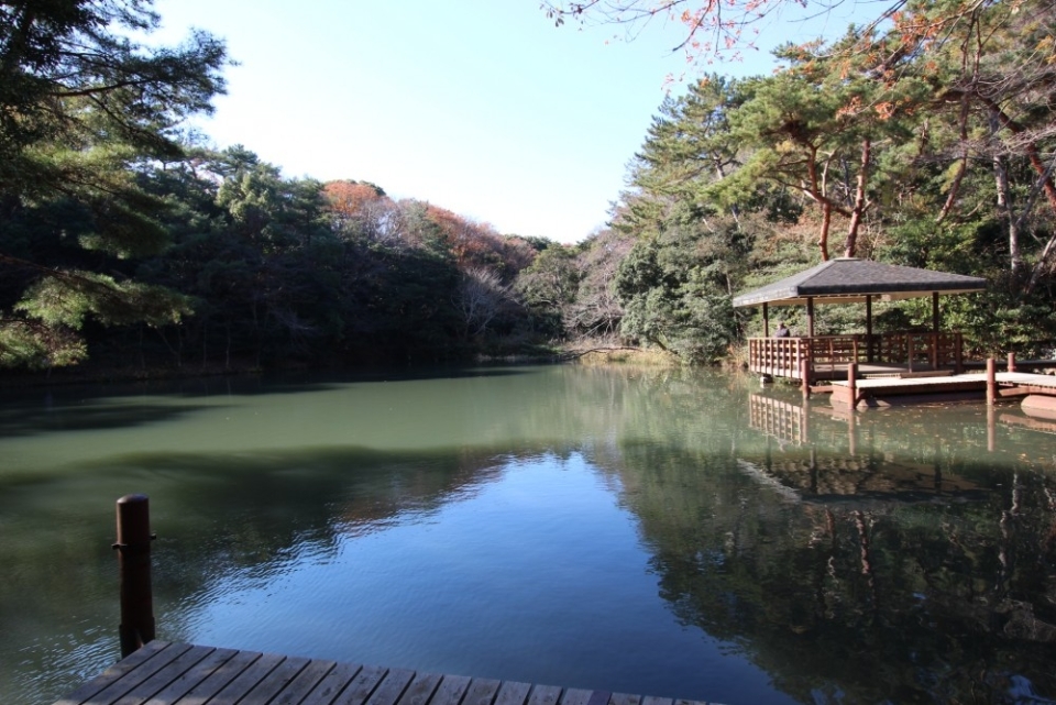 釣りを楽しむ人が多い。