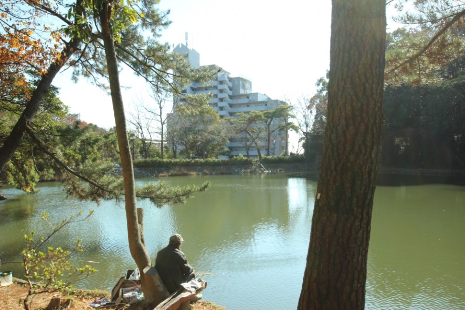 四ッ池公園から望む外観。