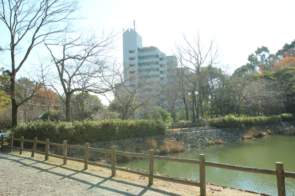 四ツ池公園越しのマンション