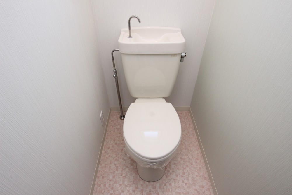 トイレの様子。
