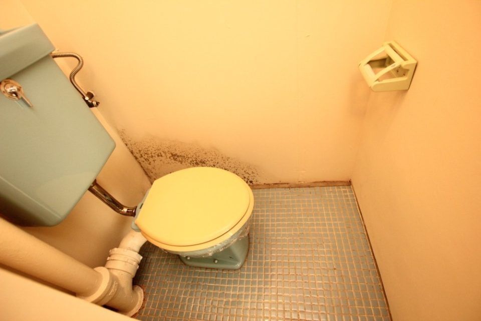 トイレの様子。古さを隠しきれない。