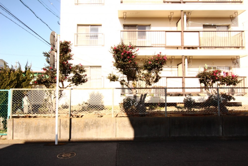 敷地は南面に面した角。価値あり。