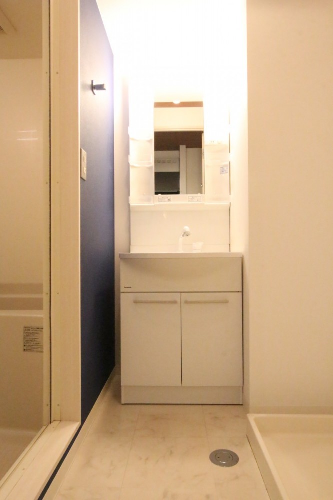 忙しい朝に重宝するシャンプードレッサー。