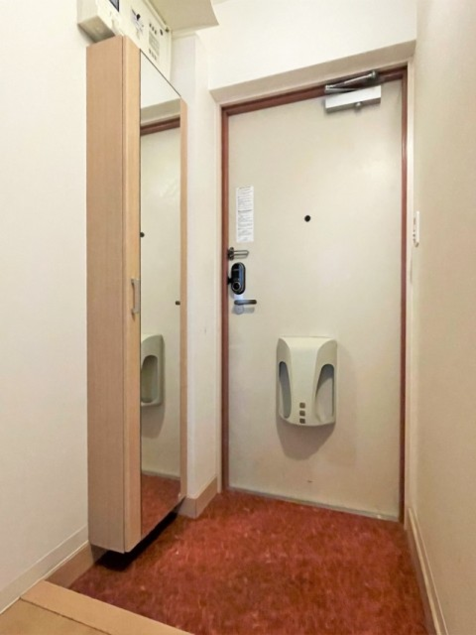 鏡付きの大きなシューズボックスあります。