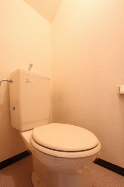 トイレは階段下に位置しているので、天井が斜めになっています