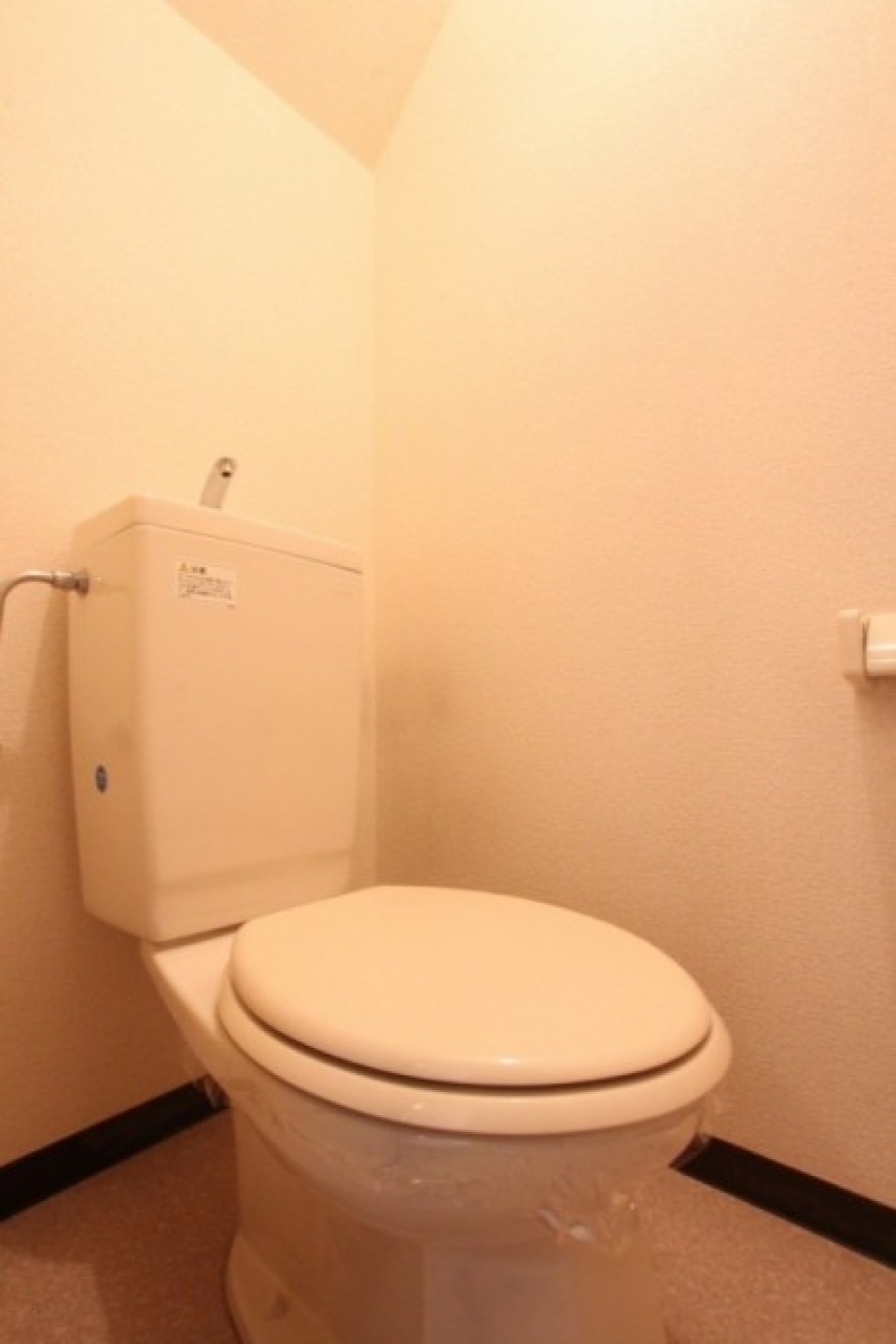 トイレは階段下に位置しているので、天井が斜めになっています