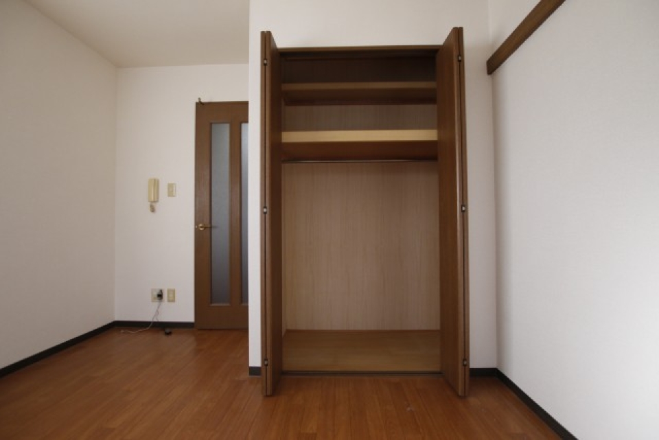 この部屋唯一のクローゼット、3段あり便利そう