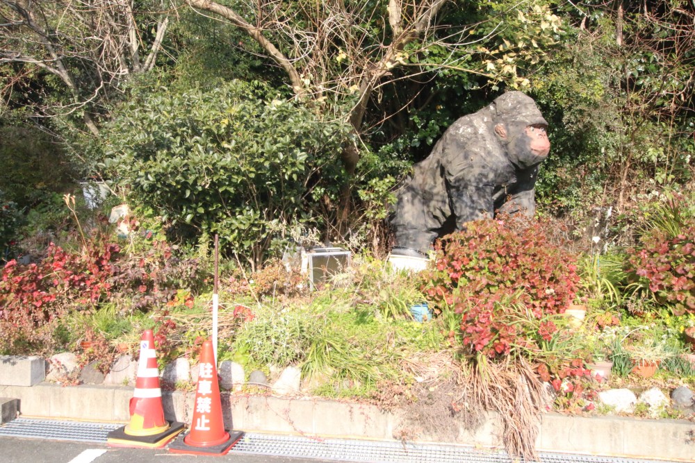 むむっ？駐車場になんかいるぞ！