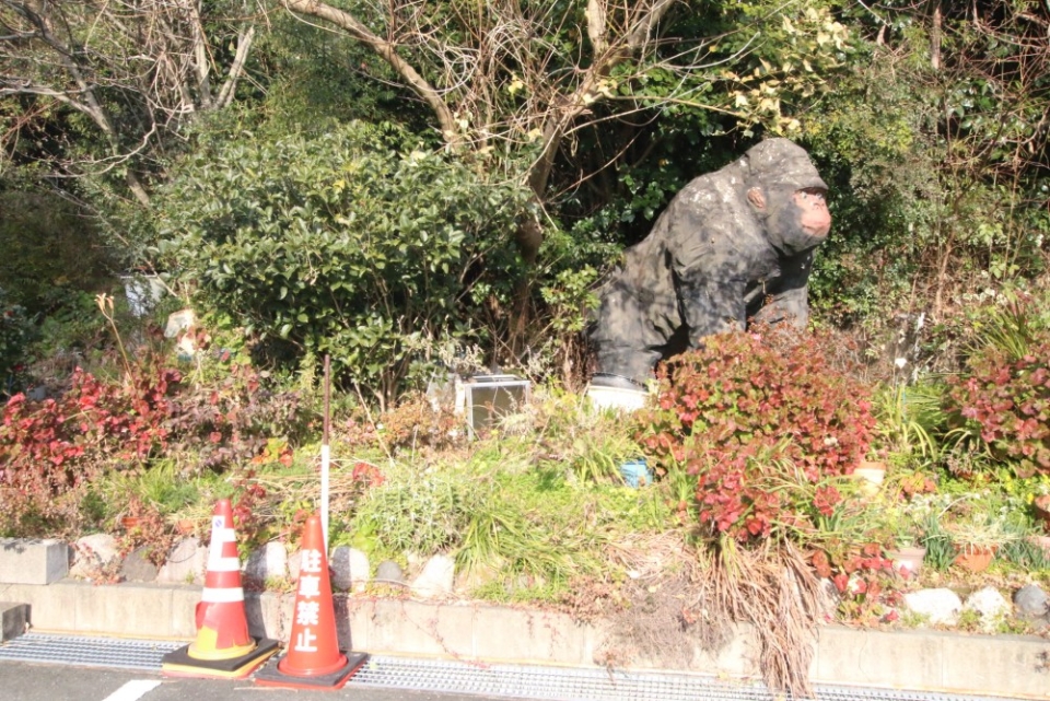 むむっ？駐車場になんかいるぞ！