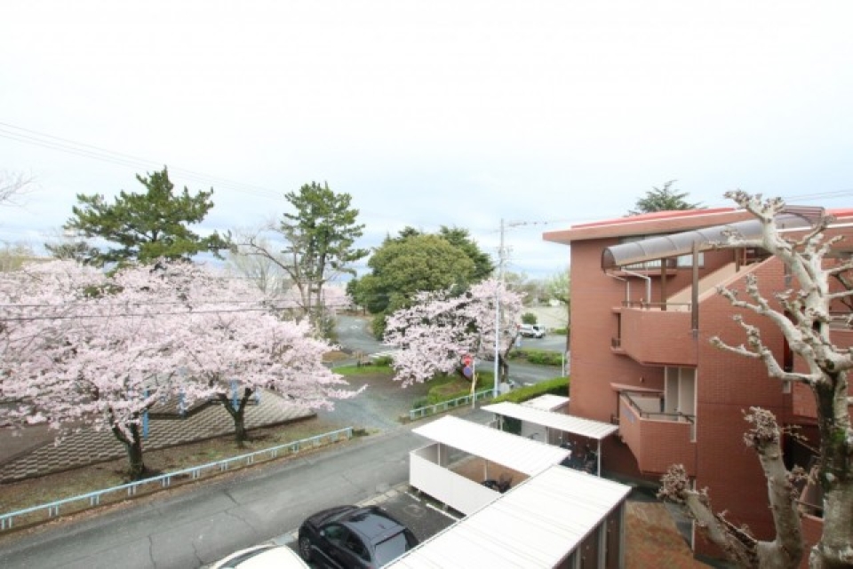 周囲4キロもある和地山公園がすぐそば。