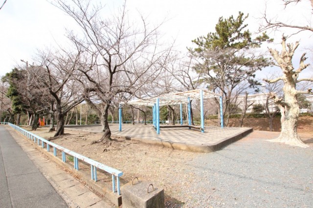 近くの公園。