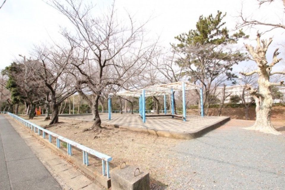 近くの公園。