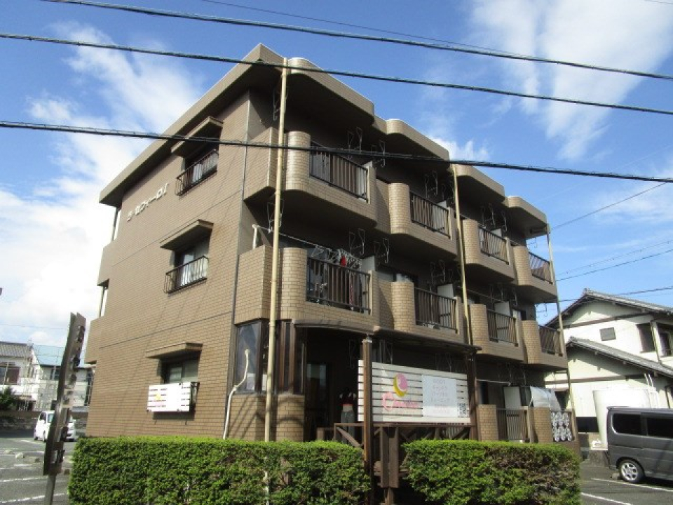 外観、植栽がぐるっと囲っています