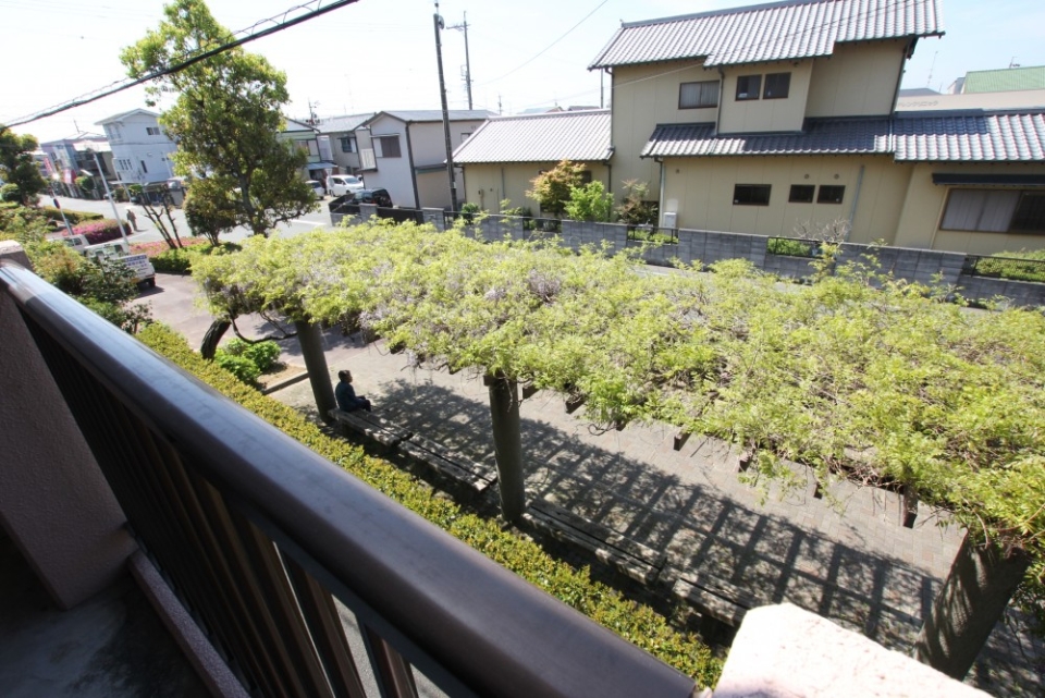 階下に見える藤棚。木陰になるベンチでは地域の方が一休み
