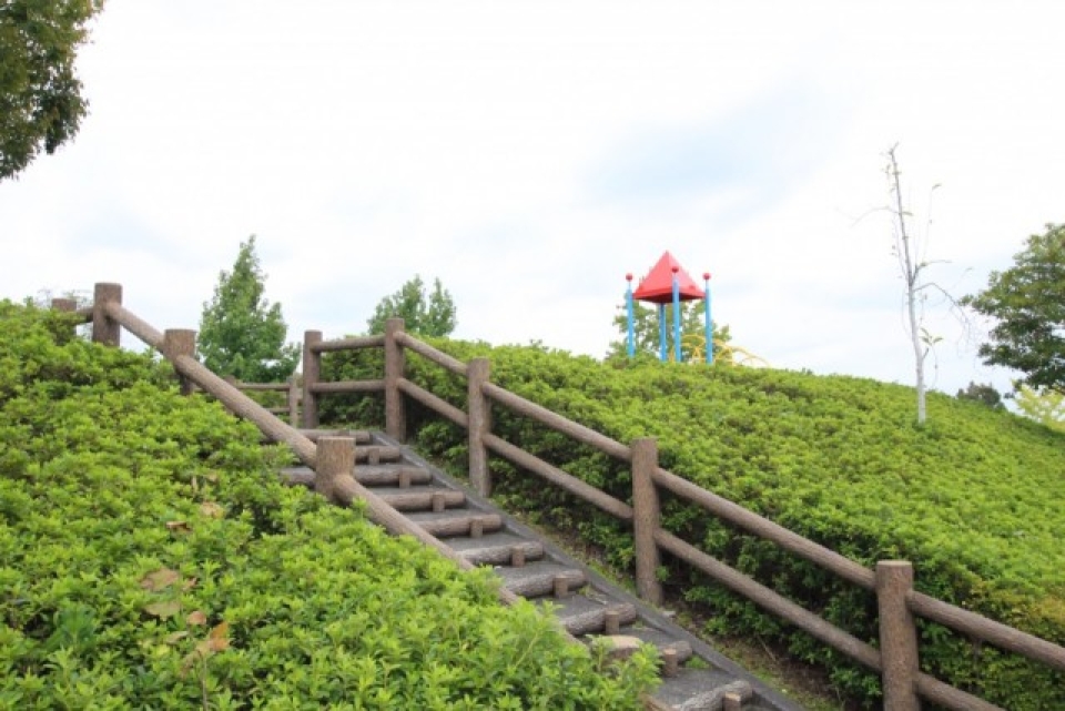 勉強で疲れた午後のひと時は目の前の公園で。