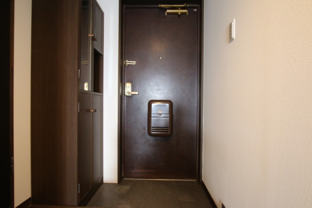 個人的に気に入ってしまった、ヴィンテージ感のある玄関扉。