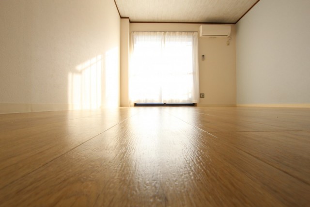 室内に降り注ぐ柔らかな自然光。