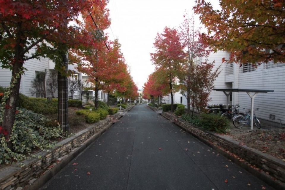 秋になると紅葉で彩られ、雰囲気が変わります。