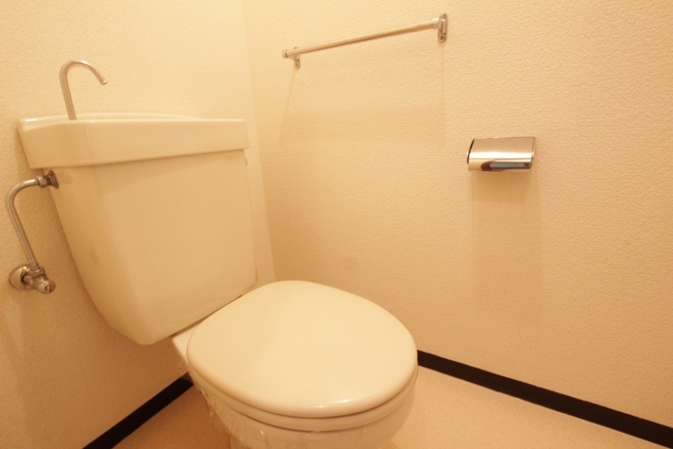 トイレの様子。