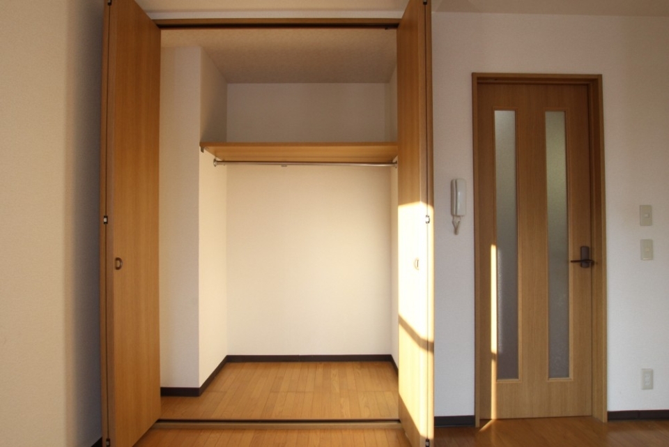 収納はこの１ヶ所だがひとり暮らしなら十分。