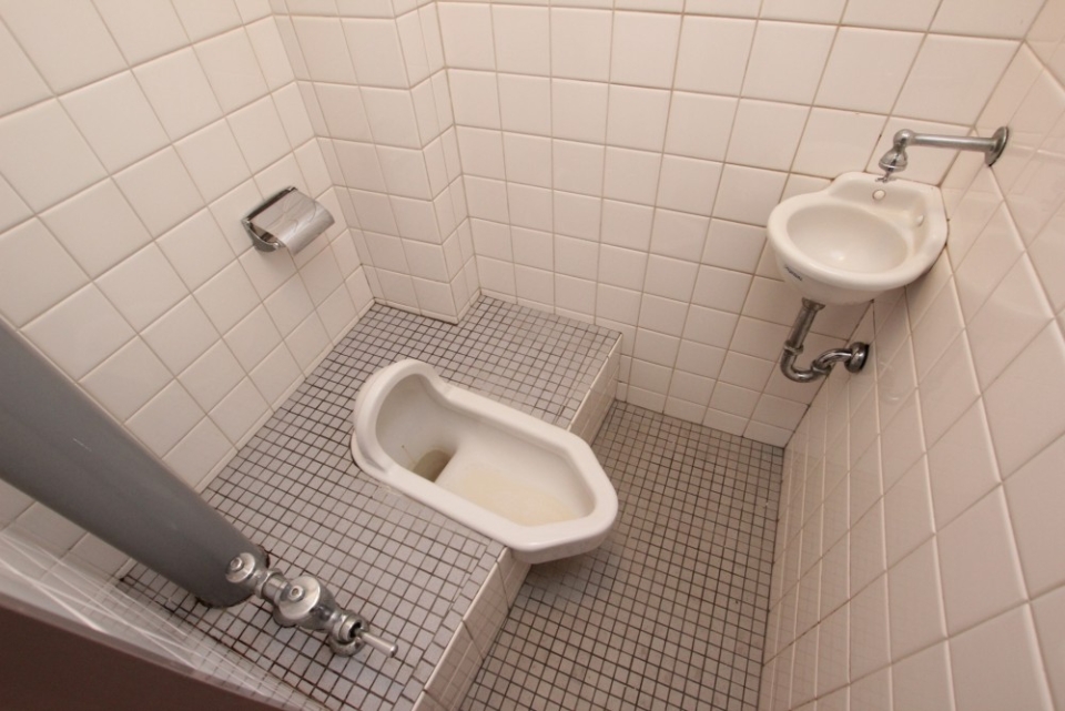 トイレは水洗ですが、和式だよ。