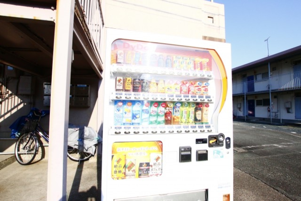 自販機があるのは強い