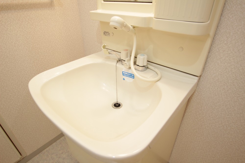 洗面台はシャンプードレッサータイプ。