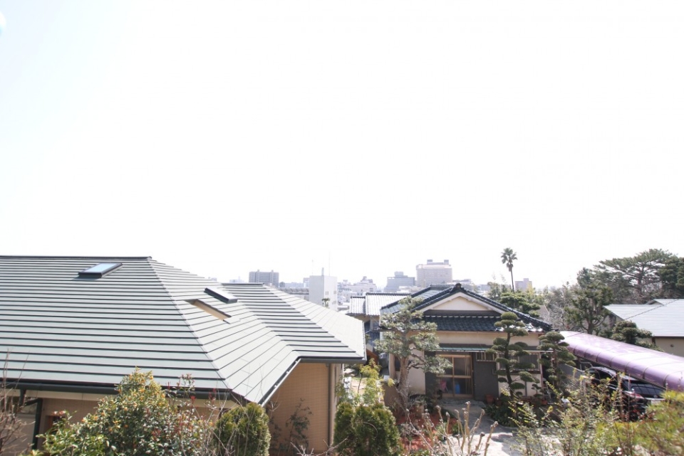 浜松の街中を一望。