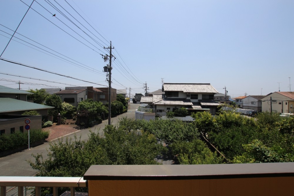 夏の風物詩「セミの大合唱」が聞こえる。