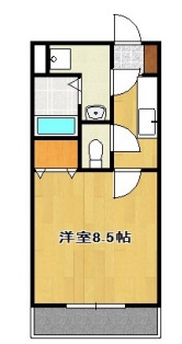 しましまがすき。