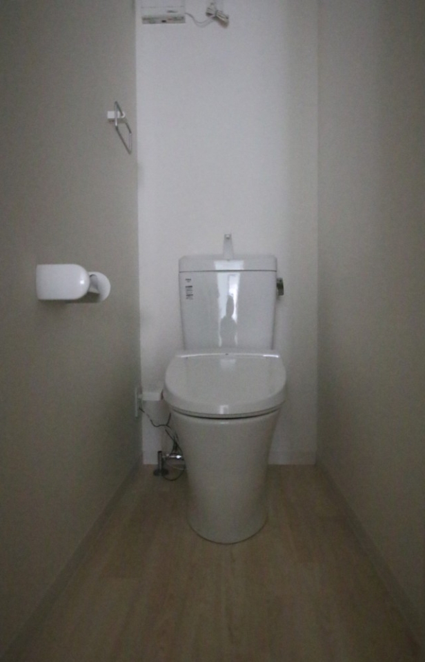 トイレのようす。