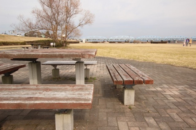 天竜川河川敷が近い。お散歩コースにいかが？
