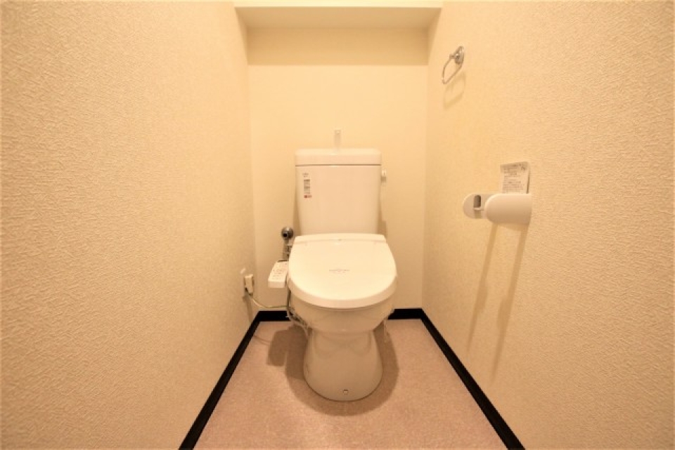 立派なトイレです