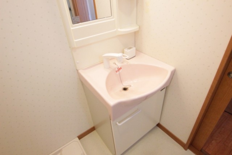 洗面台はシャンプードレッサー。