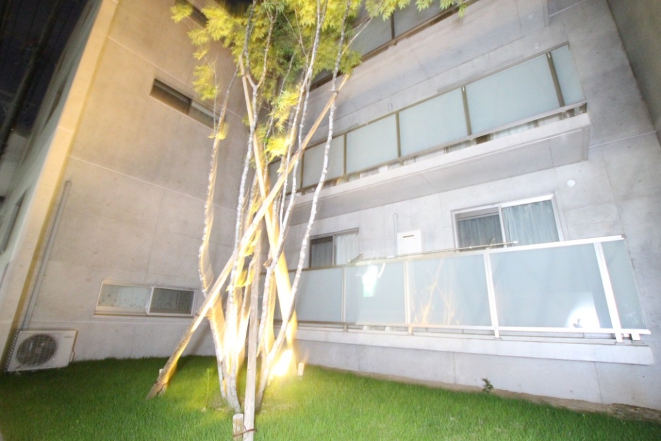 お部屋に囲まれた当物件の記念樹。