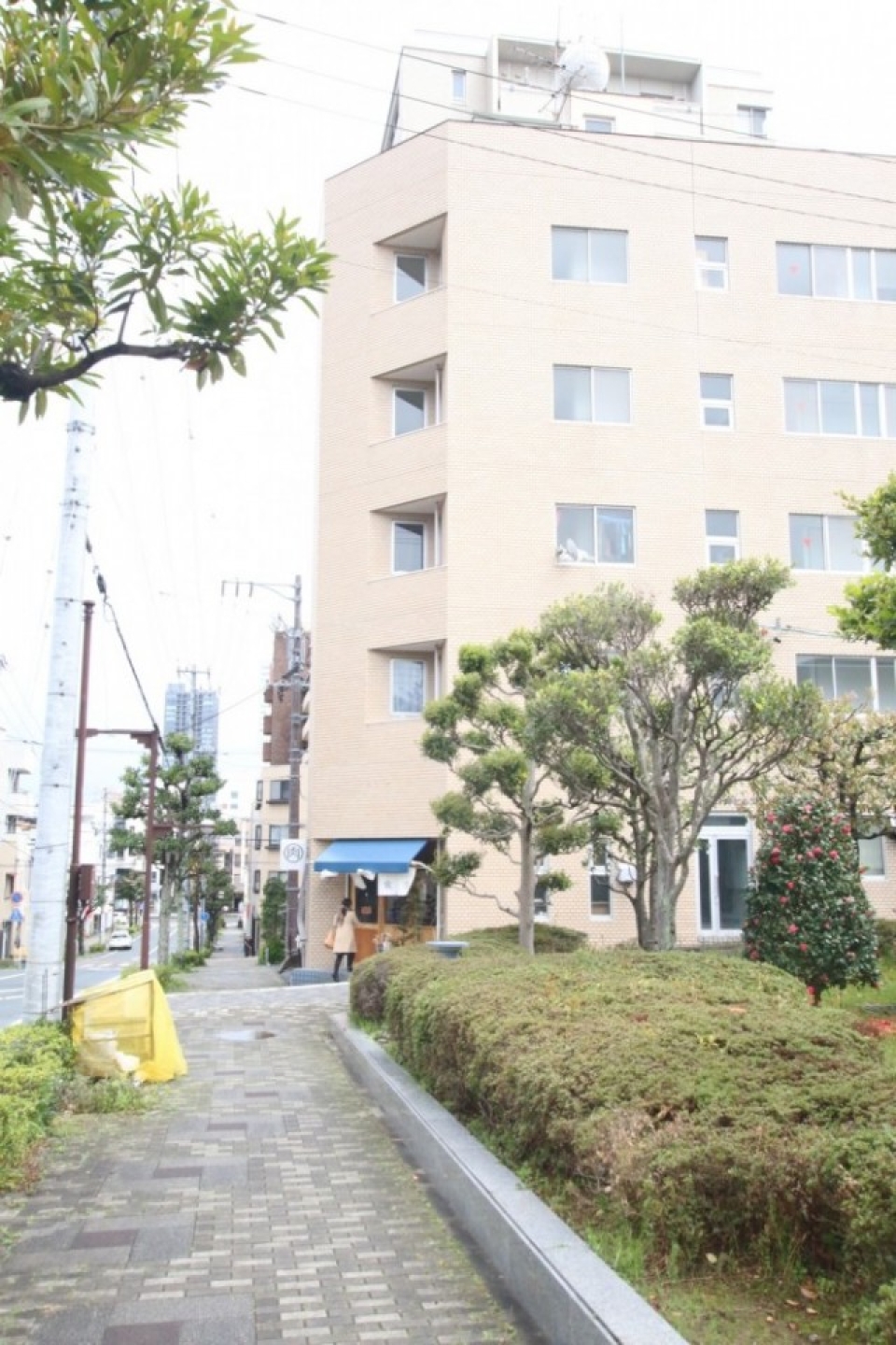 神社の鳥居から伸びる道には、緑がいっぱい。