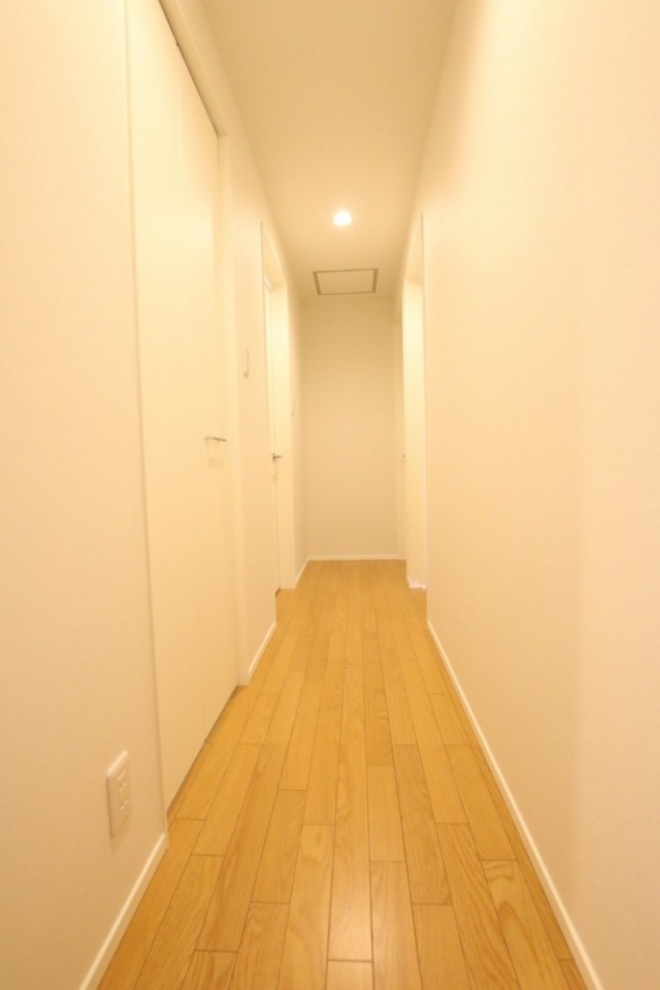 廊下・お部屋は3部屋、一番手間の扉はウォークインクローゼット