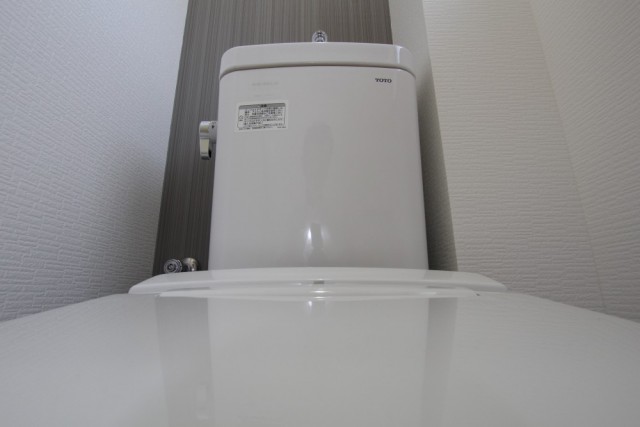 トイレ内にもシックな色のアクセントクロス使用。