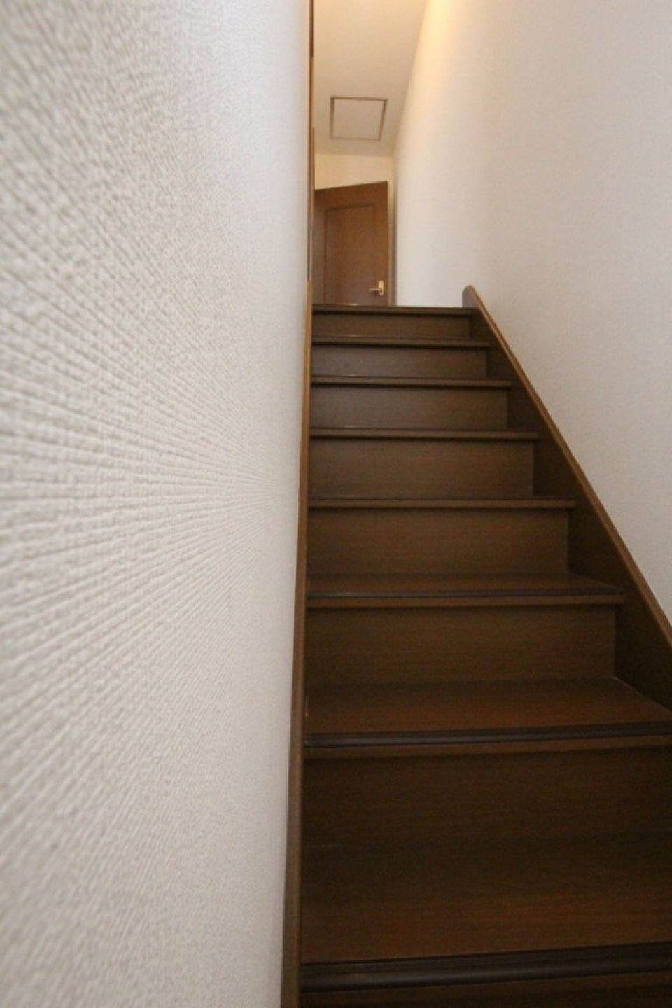 階段にも手すりは付いていません。