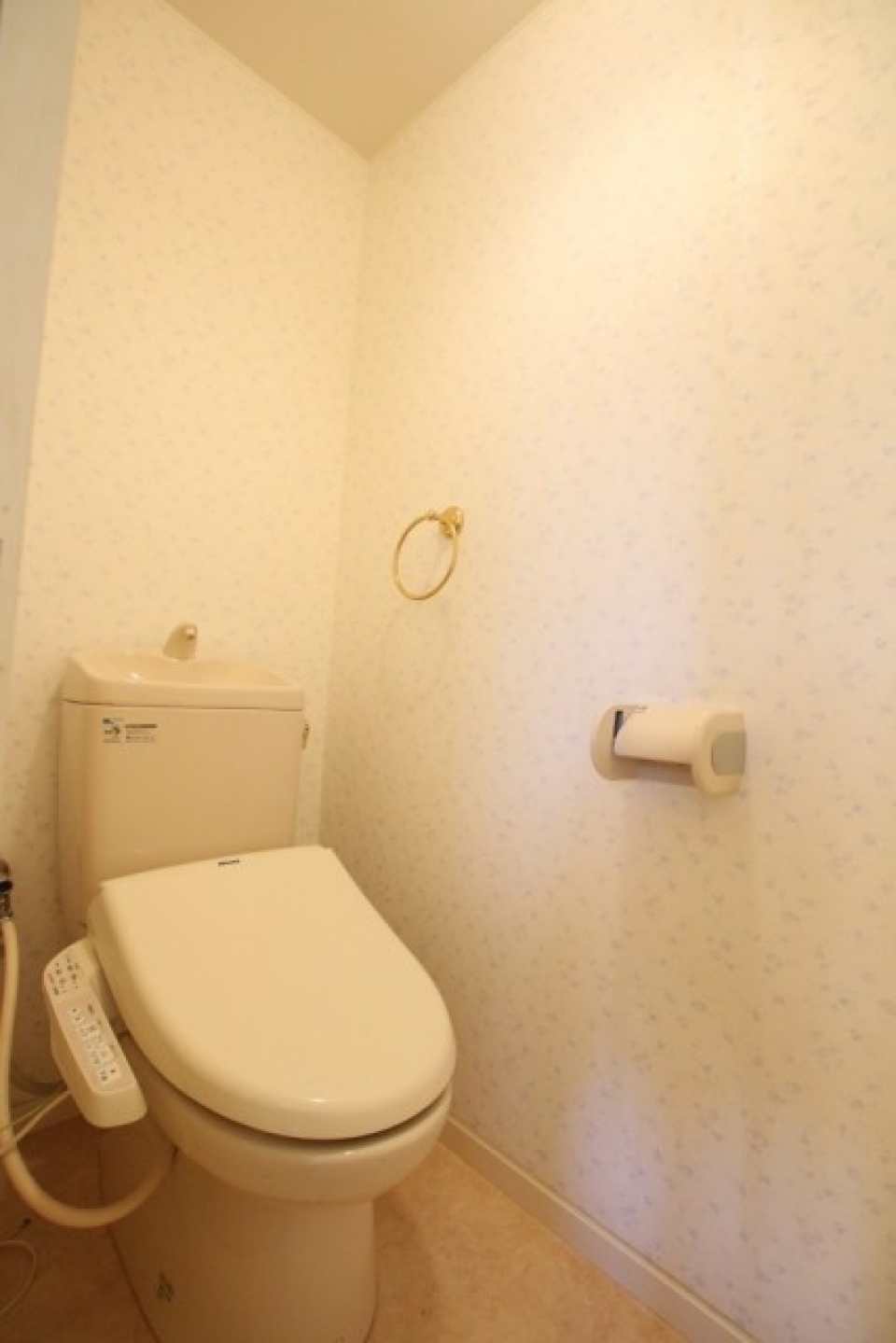 トイレのようす。