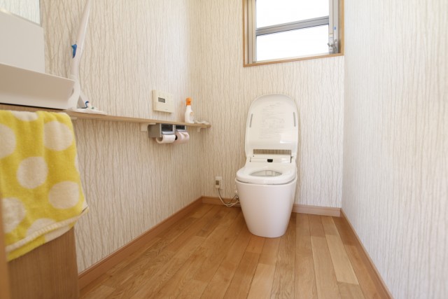 1階のトイレ。広い。2階にもトイレがある。
