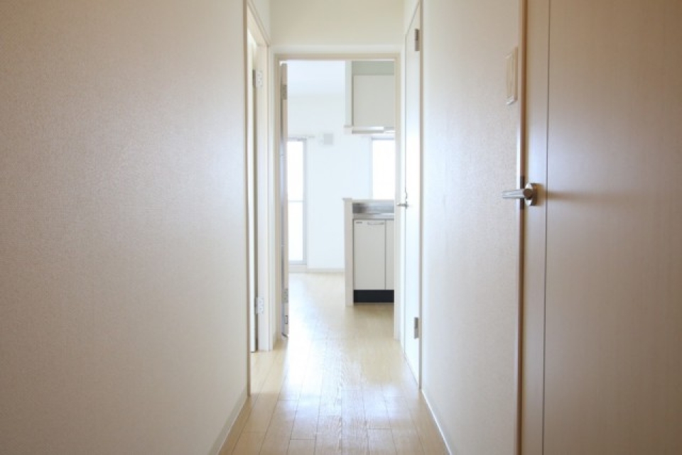 玄関からの写真。使いやすそうなシンプルな間取りでおススメです。