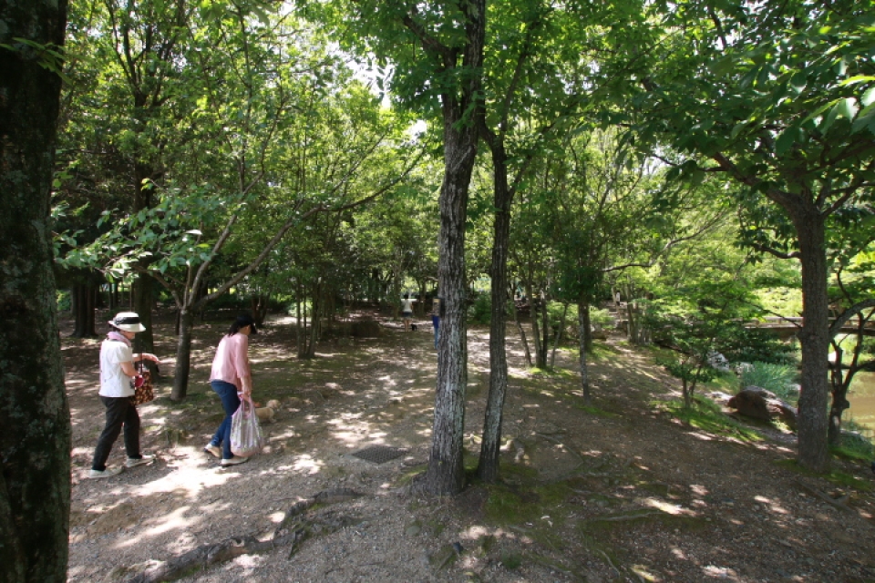 浜松城公園も近い。