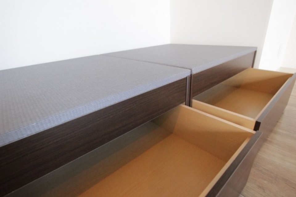 収納を開けると、意外に助かりそうな大きさ。