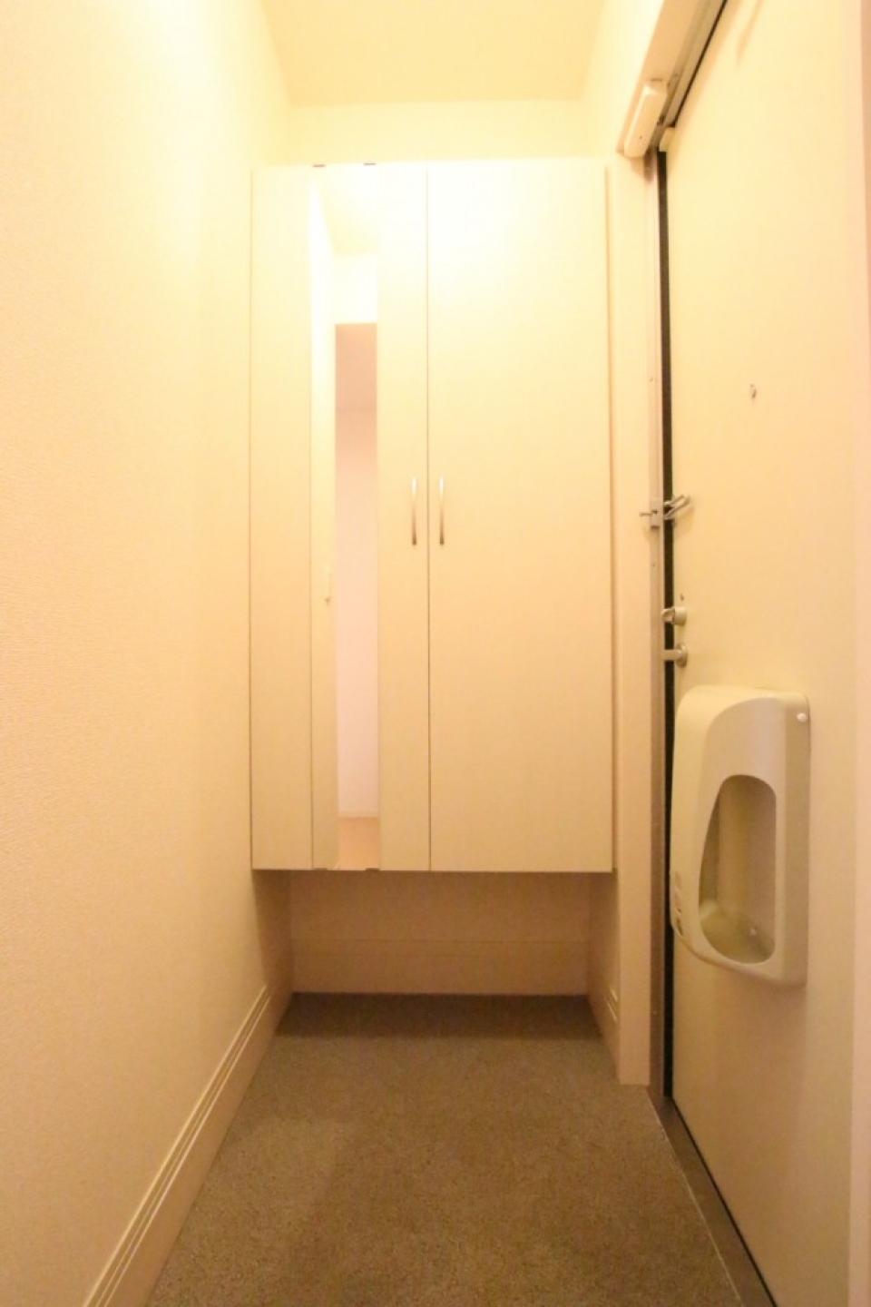 見た目もおしゃれな靴箱。