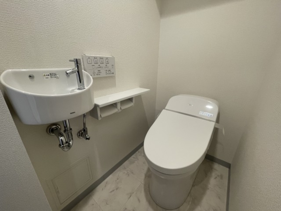 手洗い場付きの綺麗なトイレ