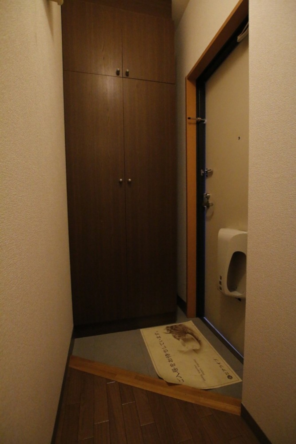 靴箱付きの玄関。